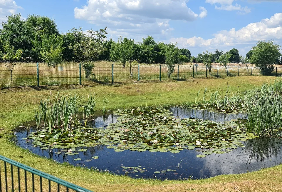 Teich im Garten des Altenpflegeheims Horst