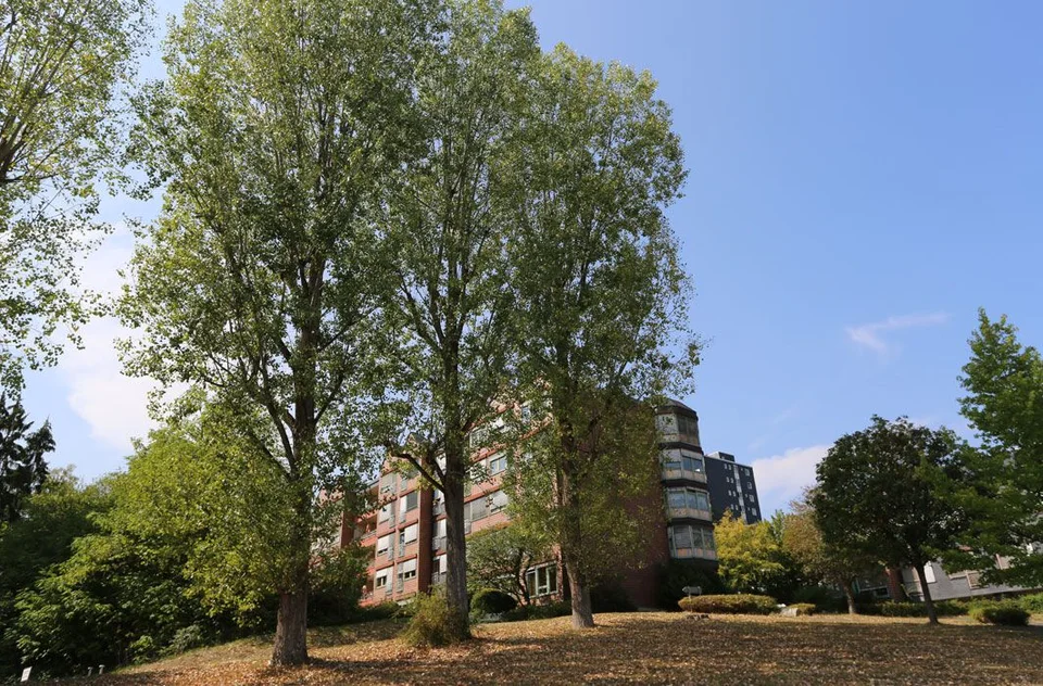 Park auf dem Gelände des Antoniusheim Altenzentrums in Wiesbaden