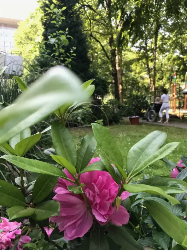 Garten – Alten- und Pflegeheim Anlagenring, Frankfurt am Main