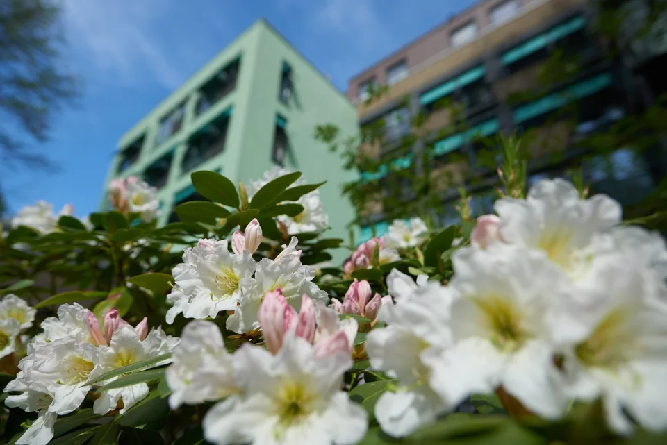 Gartenbereich: Altenzentrum Bruder-Jordan-Haus in Dortmund
